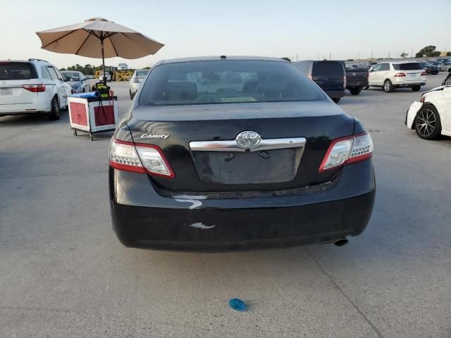 2010 Toyota Camry Hybrid