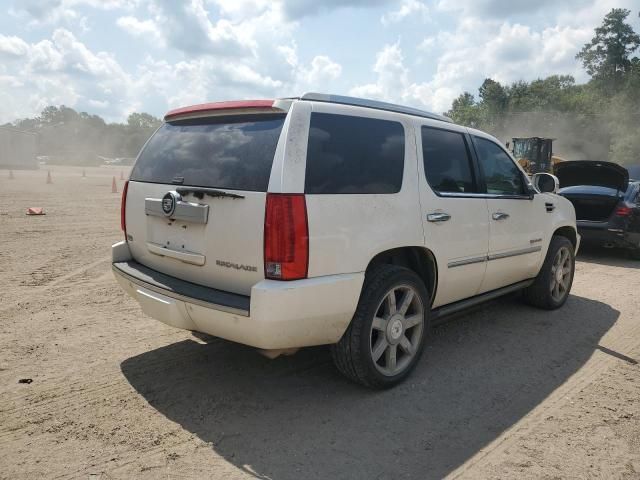 2010 Cadillac Escalade Premium