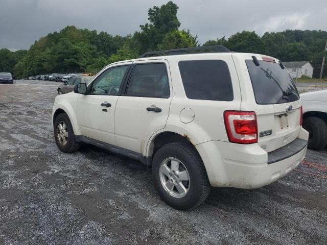 2011 Ford Escape XLT