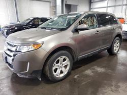 Salvage cars for sale at Ham Lake, MN auction: 2013 Ford Edge SEL