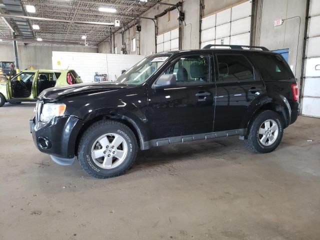 2010 Ford Escape XLT