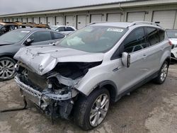 Salvage cars for sale from Copart Earlington, KY: 2014 Ford Escape Titanium