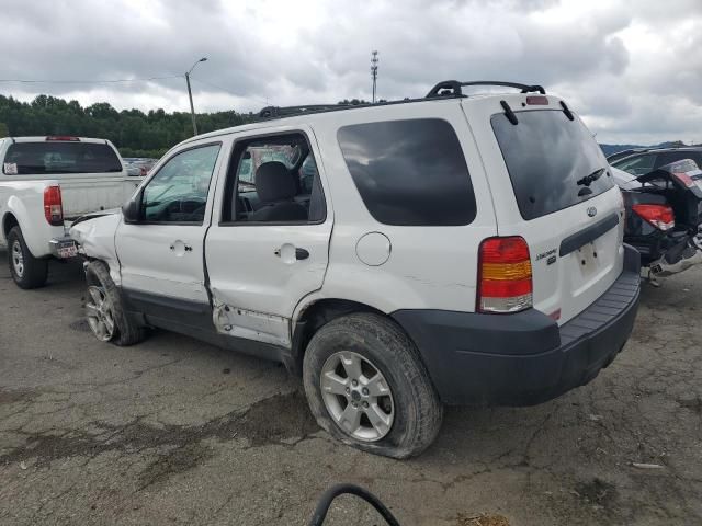 2006 Ford Escape XLT