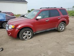 Salvage cars for sale from Copart Portland, MI: 2011 Ford Escape Limited