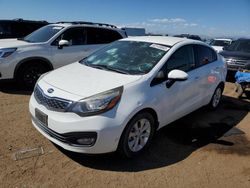 Salvage cars for sale at Brighton, CO auction: 2015 KIA Rio EX