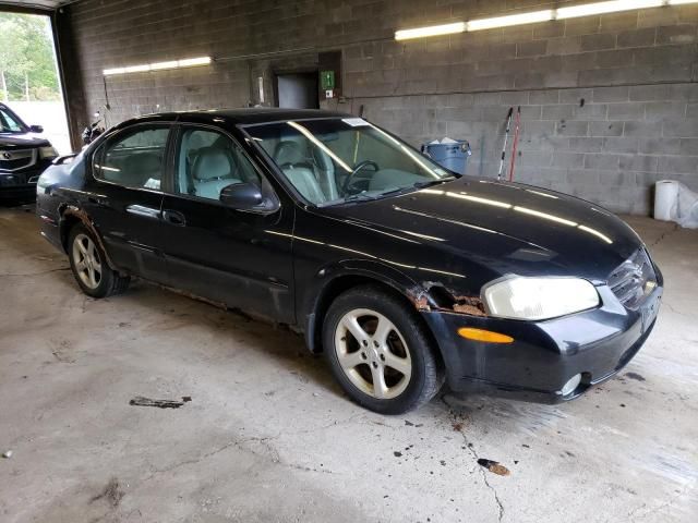 2000 Nissan Maxima GLE