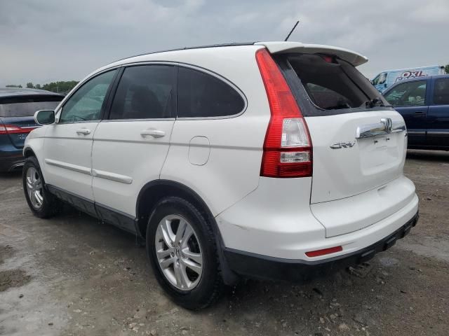 2010 Honda CR-V EXL