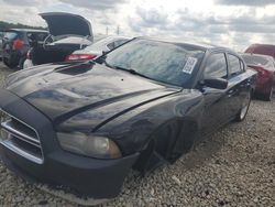 Dodge salvage cars for sale: 2013 Dodge Charger SXT