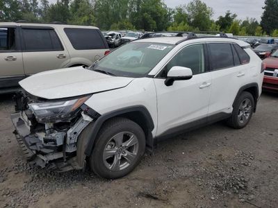 Salvage cars for sale from Copart Portland, OR: 2023 Toyota Rav4 LE