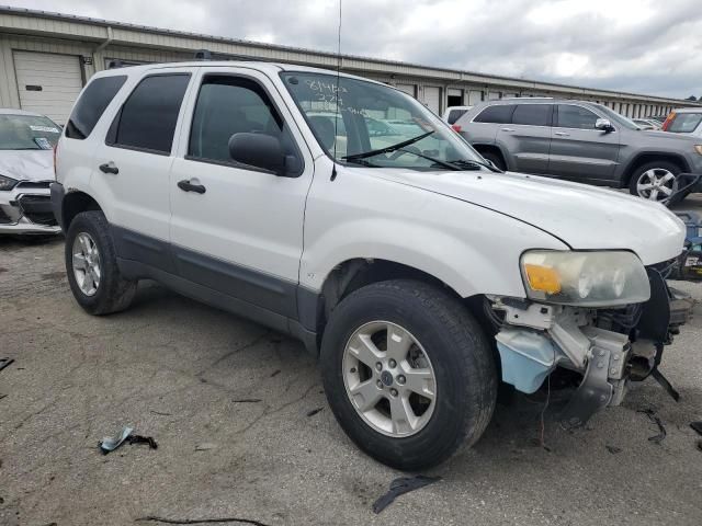 2006 Ford Escape XLT