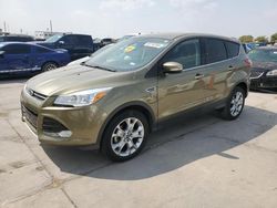 Salvage cars for sale at Grand Prairie, TX auction: 2013 Ford Escape SEL