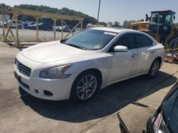 Nissan salvage cars for sale: 2009 Nissan Maxima S