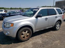 Ford Escape XLT salvage cars for sale: 2011 Ford Escape XLT