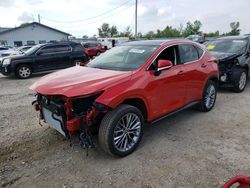 Salvage cars for sale from Copart Dyer, IN: 2023 Lexus NX 350H