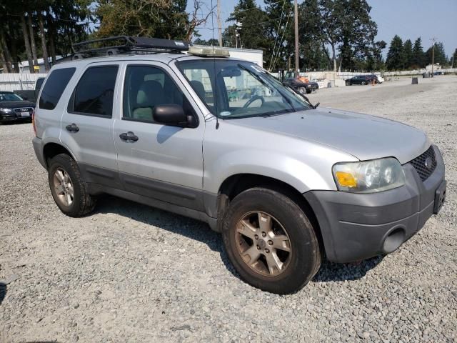 2005 Ford Escape XLT