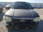 2005 Ford Escape XLT