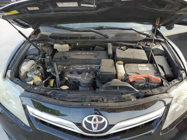 2010 Toyota Camry Hybrid