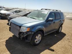 Salvage cars for sale from Copart Brighton, CO: 2011 Ford Escape XLT