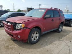 Salvage Cars for Sale in Chicago Illinois