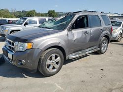 Salvage Cars with No Bids Yet For Sale at auction: 2012 Ford Escape Limited