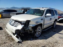 Salvage cars for sale at Magna, UT auction: 2007 Cadillac Escalade Luxury
