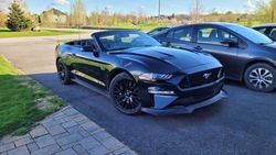 Ford Mustang gt salvage cars for sale: 2018 Ford Mustang GT