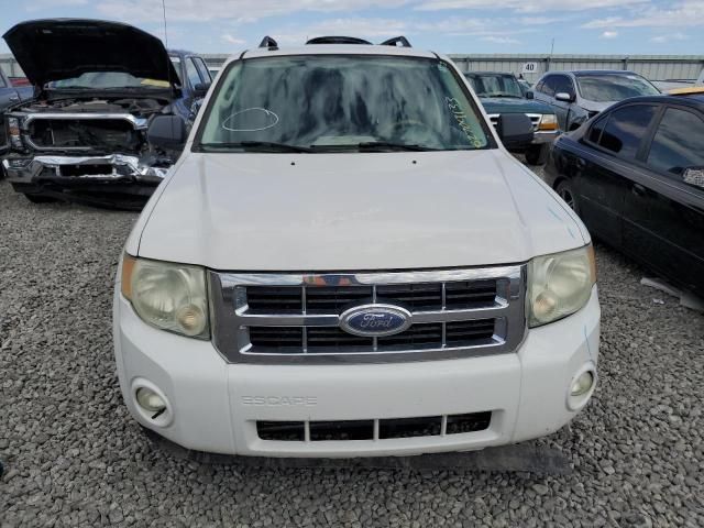 2009 Ford Escape XLT