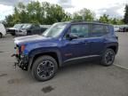 2019 Jeep Renegade Trailhawk