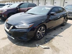 Salvage cars for sale at Louisville, KY auction: 2019 Nissan Maxima S