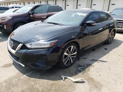 Nissan salvage cars for sale: 2019 Nissan Maxima S