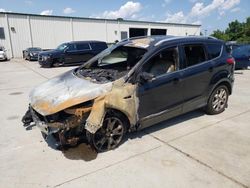 Salvage cars for sale at Gaston, SC auction: 2014 Ford Escape Titanium