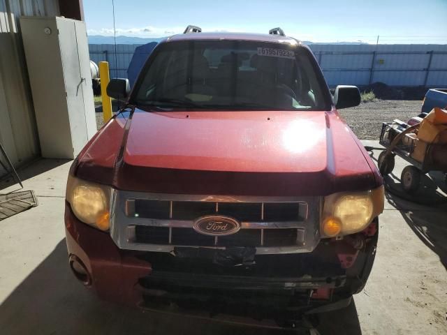 2008 Ford Escape XLT