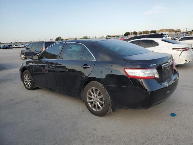 2010 Toyota Camry Hybrid