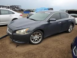 Salvage cars for sale from Copart Brighton, CO: 2009 Nissan Maxima S