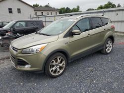 Vehiculos salvage en venta de Copart York Haven, PA: 2013 Ford Escape Titanium