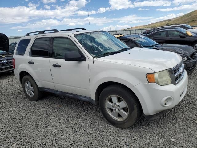 2009 Ford Escape XLT