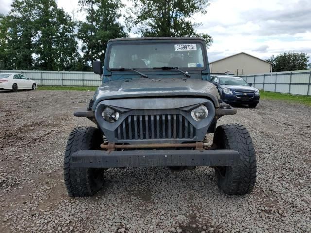 1998 Jeep Wrangler / TJ Sport