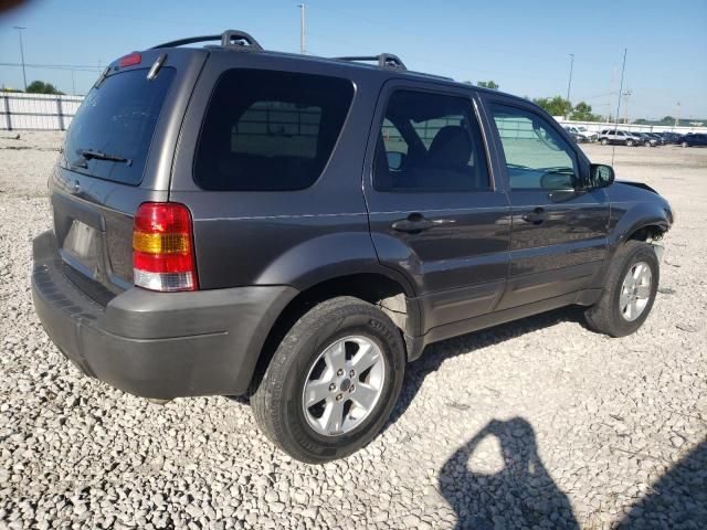 2005 Ford Escape XLT