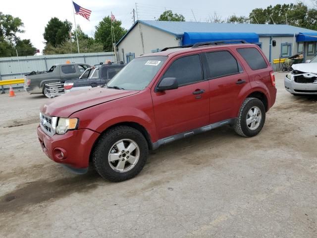 2011 Ford Escape XLT