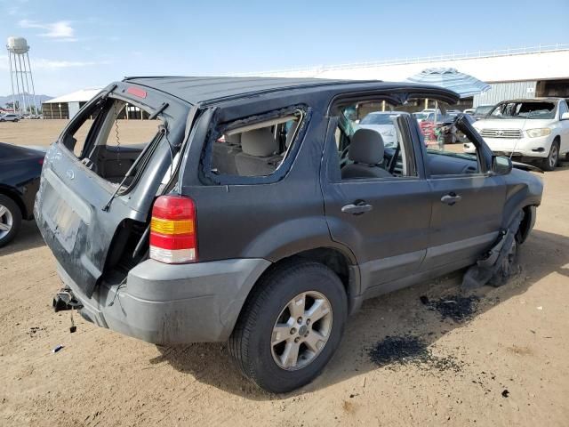 2005 Ford Escape XLT