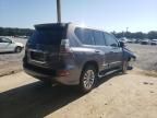 2019 Lexus GX 460