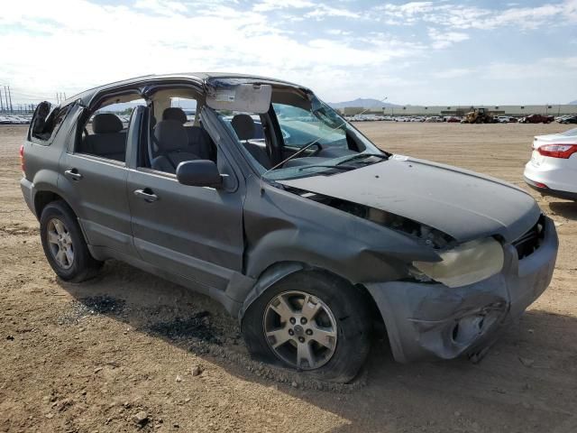 2005 Ford Escape XLT