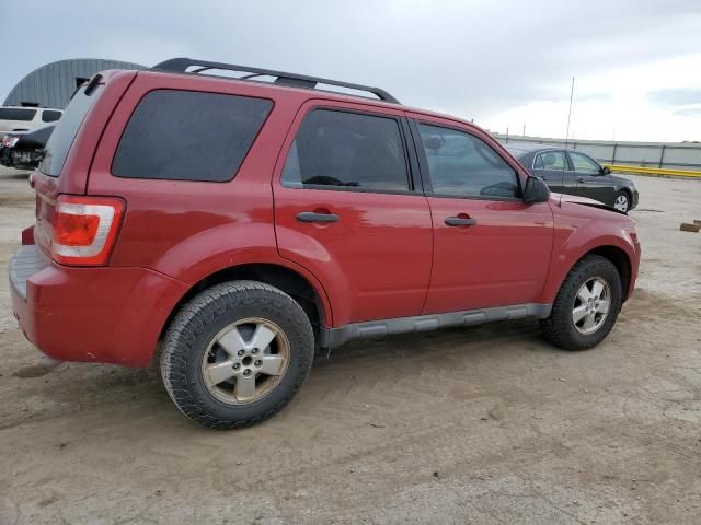 2011 Ford Escape XLT