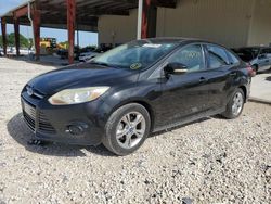 Salvage cars for sale from Copart Homestead, FL: 2013 Ford Focus SE