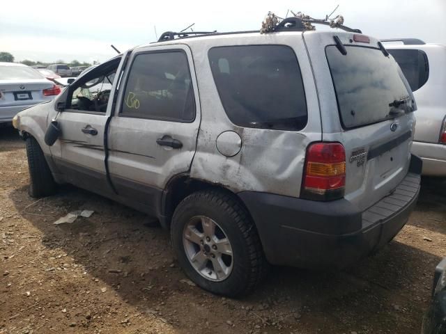 2006 Ford Escape XLT