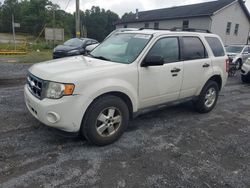 Salvage cars for sale from Copart York Haven, PA: 2011 Ford Escape XLT