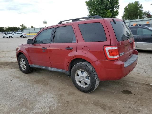 2011 Ford Escape XLT