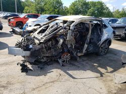 Salvage cars for sale at Marlboro, NY auction: 2020 Ford Escape SEL