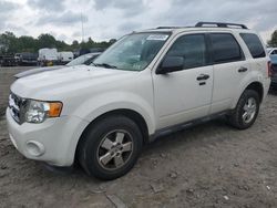 Salvage cars for sale at Duryea, PA auction: 2011 Ford Escape XLT