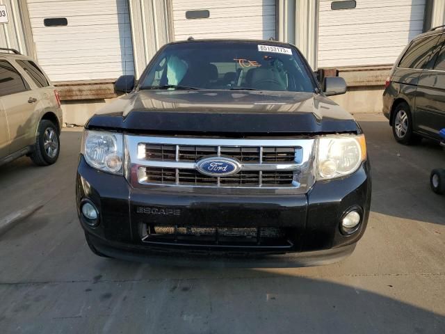 2010 Ford Escape XLT